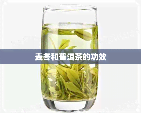 麦冬和普洱茶的功效