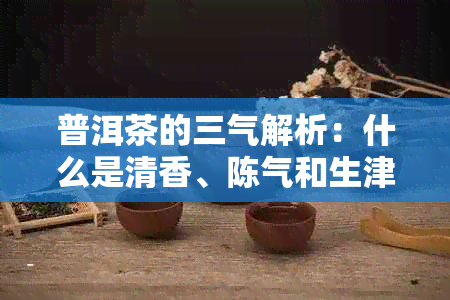 普洱茶的三气解析：什么是清香、陈气和生津之气，以及它们在品饮中的作用