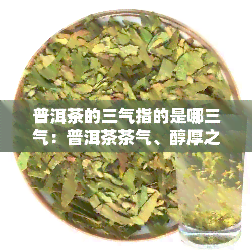 普洱茶的三气指的是哪三气：普洱茶茶气、醇厚之气、陈香之气。