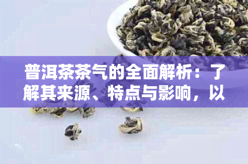 普洱茶茶气的全面解析：了解其来源、特点与影响，以及如何正确体验与品鉴