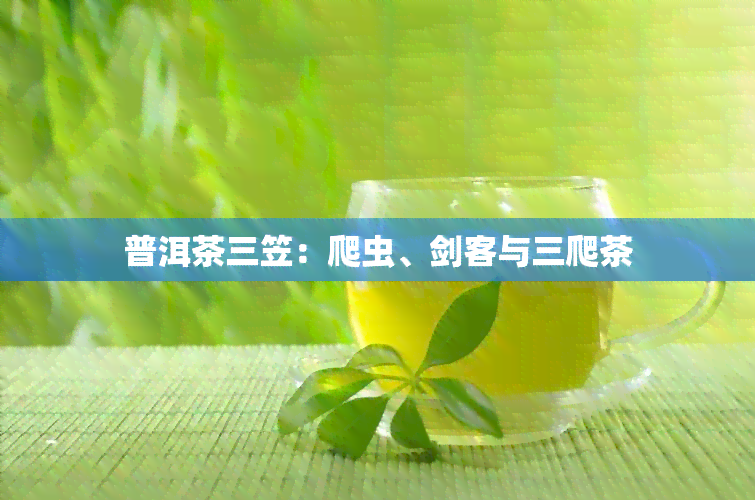 普洱茶三笠：爬虫、剑客与三爬茶