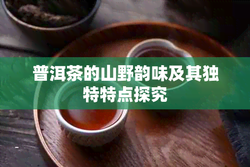 普洱茶的山野韵味及其独特特点探究