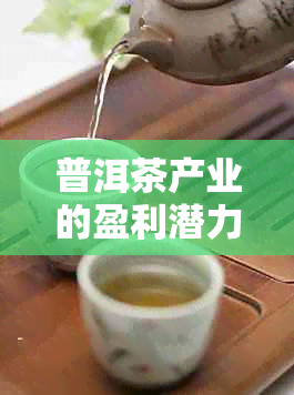 普洱茶产业的盈利潜力：揭秘其利润空间与实际收益率