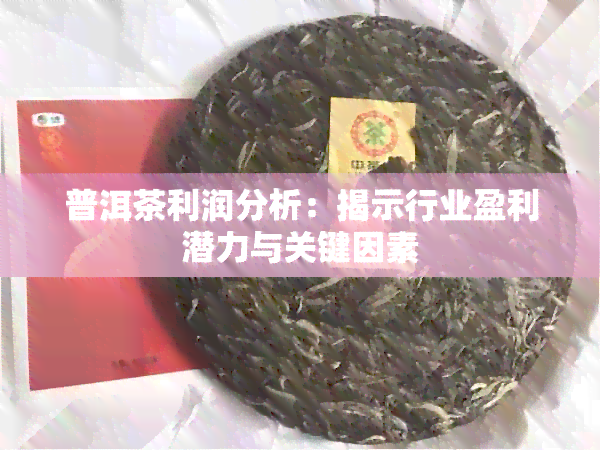 普洱茶利润分析：揭示行业盈利潜力与关键因素