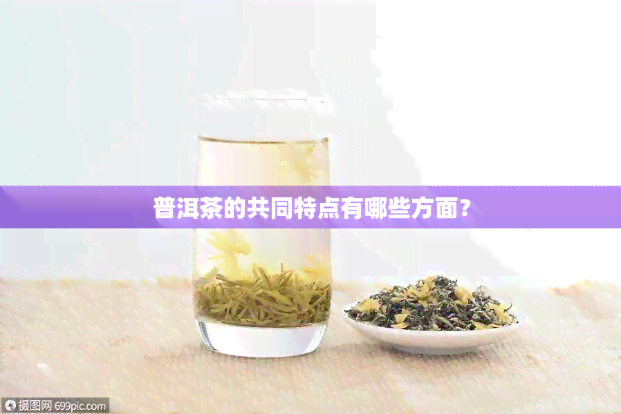 普洱茶的共同特点有哪些方面？