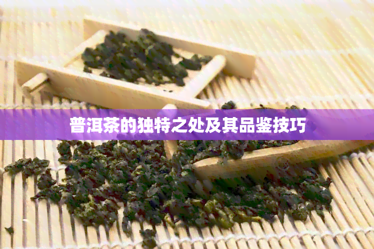 普洱茶的独特之处及其品鉴技巧