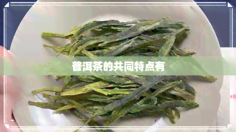 普洱茶的共同特点有