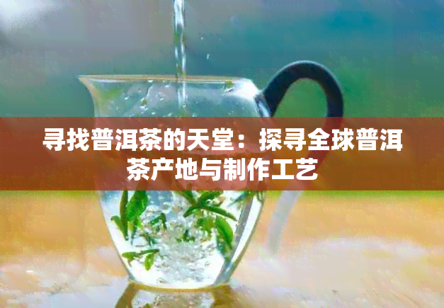 寻找普洱茶的天堂：探寻全球普洱茶产地与制作工艺