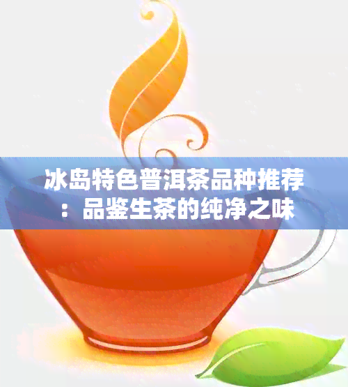 冰岛特色普洱茶品种推荐：品鉴生茶的纯净之味