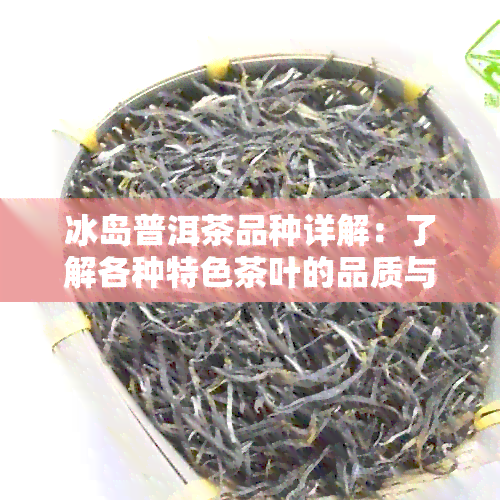 冰岛普洱茶品种详解：了解各种特色茶叶的品质与功效