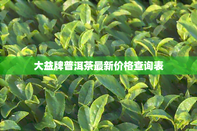 大益牌普洱茶最新价格查询表