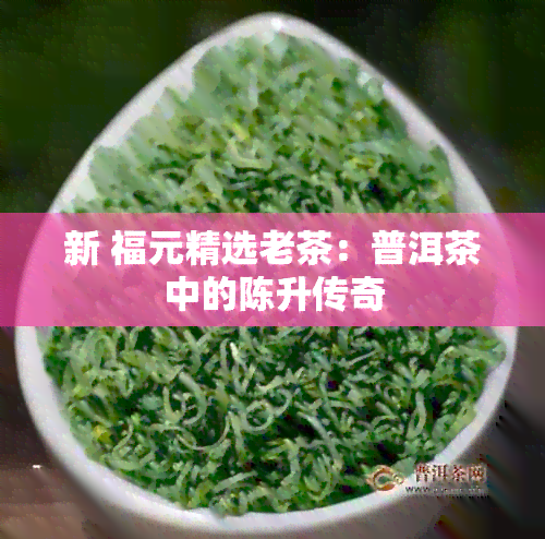 新 福元精选老茶：普洱茶中的陈升传奇