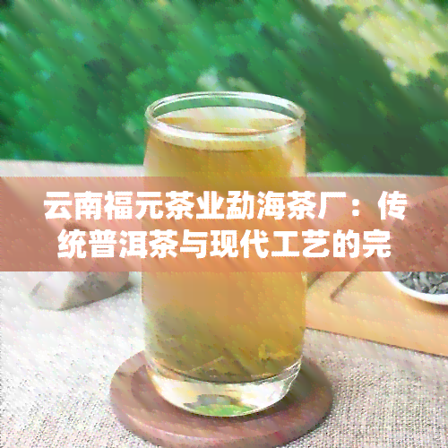 云南福元茶业勐海茶厂：传统普洱茶与现代工艺的完美结合