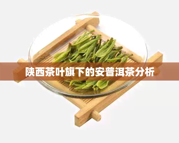 陕西茶叶旗下的安普洱茶分析