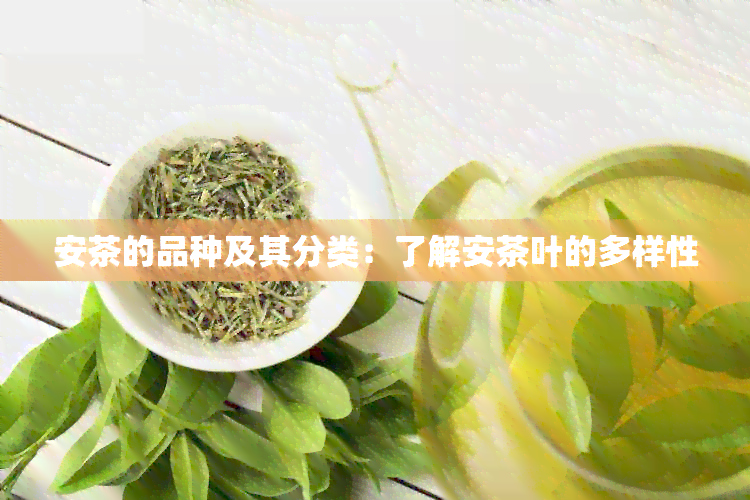 安茶的品种及其分类：了解安茶叶的多样性