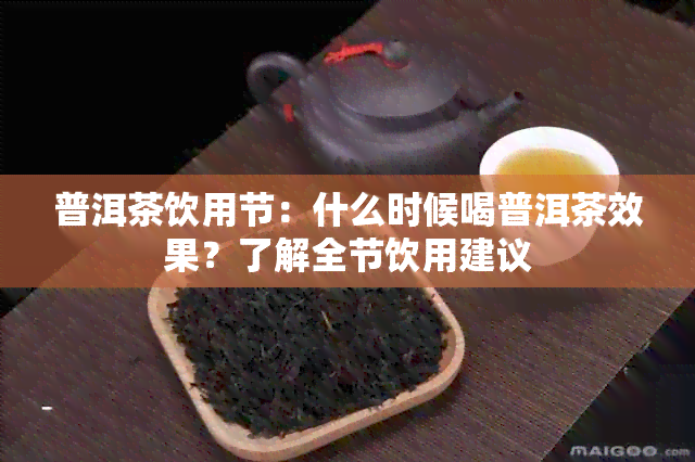 普洱茶饮用节：什么时候喝普洱茶效果？了解全节饮用建议