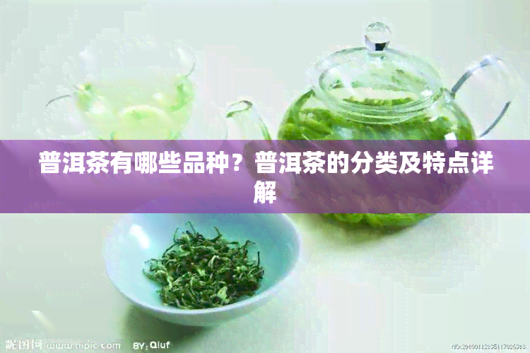 普洱茶有哪些品种？普洱茶的分类及特点详解