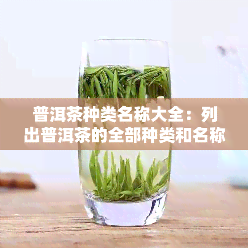 普洱茶种类名称大全：列出普洱茶的全部种类和名称。