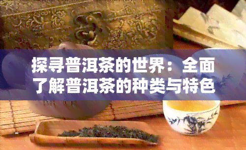 探寻普洱茶的世界：全面了解普洱茶的种类与特色