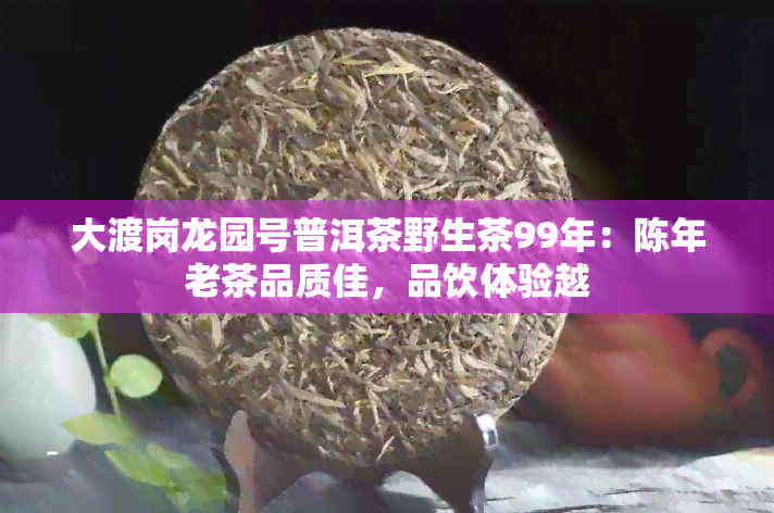 大渡岗龙园号普洱茶野生茶99年：陈年老茶品质佳，品饮体验越