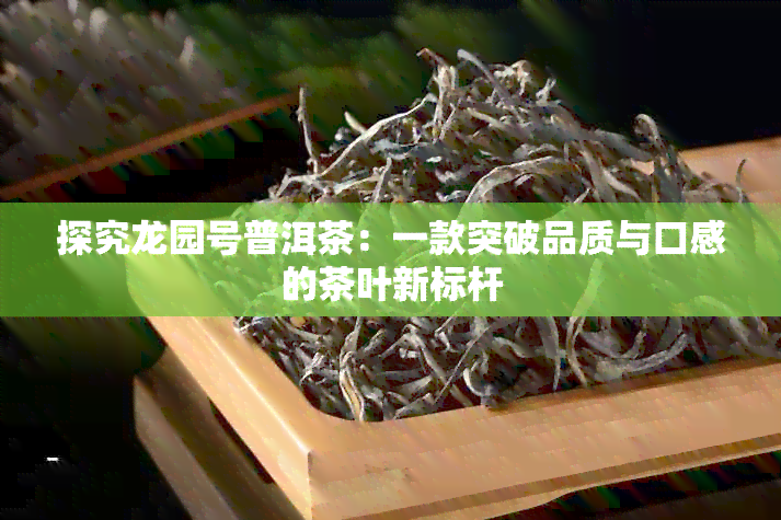 探究龙园号普洱茶：一款突破品质与口感的茶叶新标杆