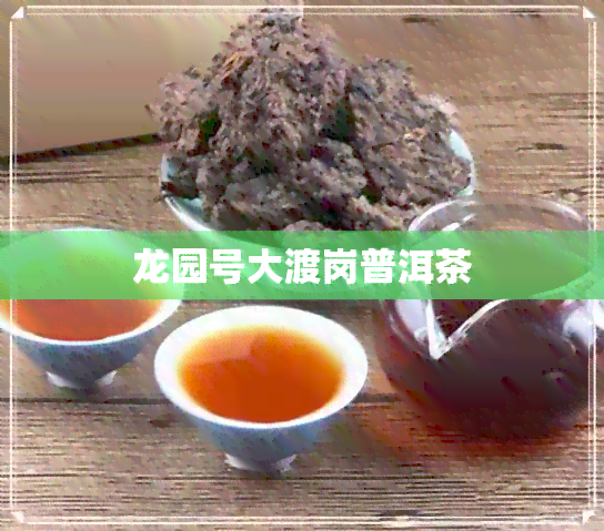 龙园号大渡岗普洱茶