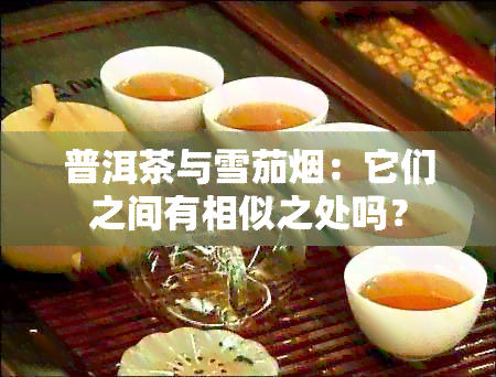 普洱茶与雪茄：它们之间有相似之处吗？