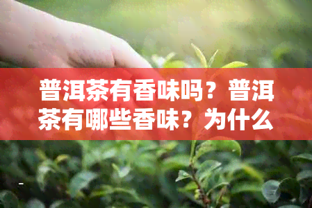 普洱茶有香味吗？普洱茶有哪些香味？为什么普洱茶有香味？是真的吗？