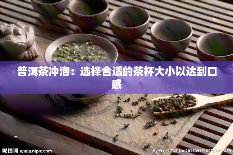 普洱茶冲泡：选择合适的茶杯大小以达到口感