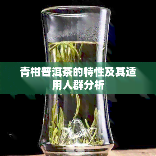 青柑普洱茶的特性及其适用人群分析