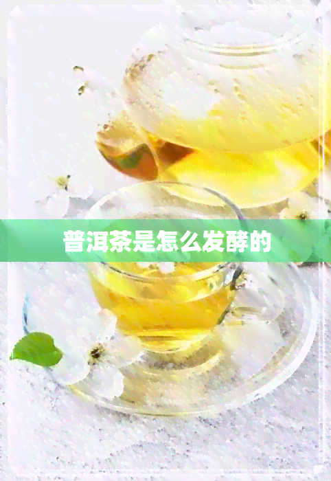 普洱茶是怎么发酵的