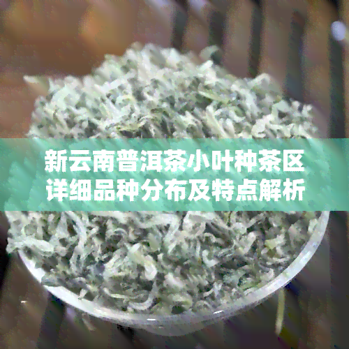 新云南普洱茶小叶种茶区详细品种分布及特点解析