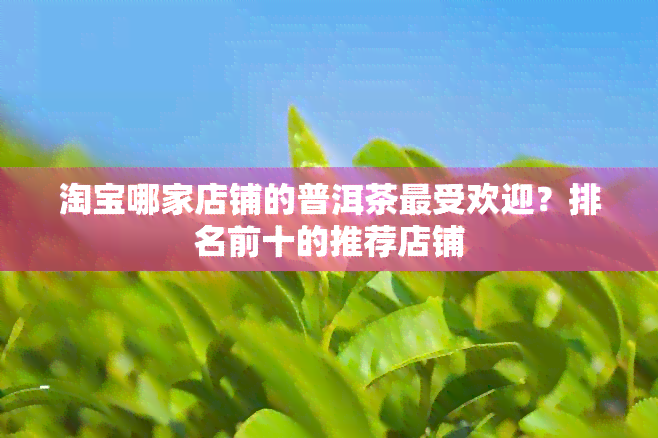 淘宝哪家店铺的普洱茶更受欢迎？排名前十的推荐店铺