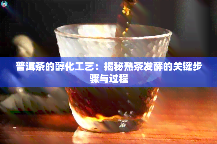 普洱茶的醇化工艺：揭秘熟茶发酵的关键步骤与过程