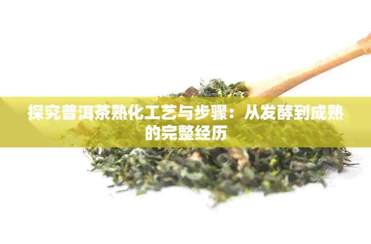 探究普洱茶熟化工艺与步骤：从发酵到成熟的完整经历