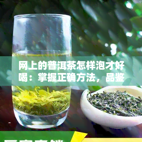 网上的普洱茶怎样泡才好喝：掌握正确方法，品鉴极致口感