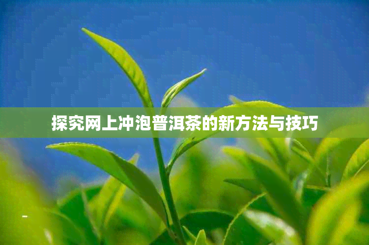 探究网上冲泡普洱茶的新方法与技巧