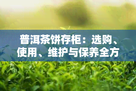 普洱茶饼存柜：选购、使用、维护与保养全方位指南