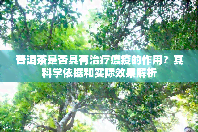 普洱茶是否具有治疗瘟疫的作用？其科学依据和实际效果解析