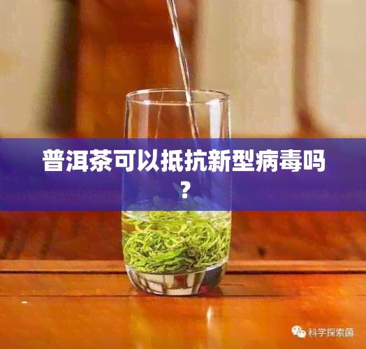 普洱茶可以抵抗新型病吗？