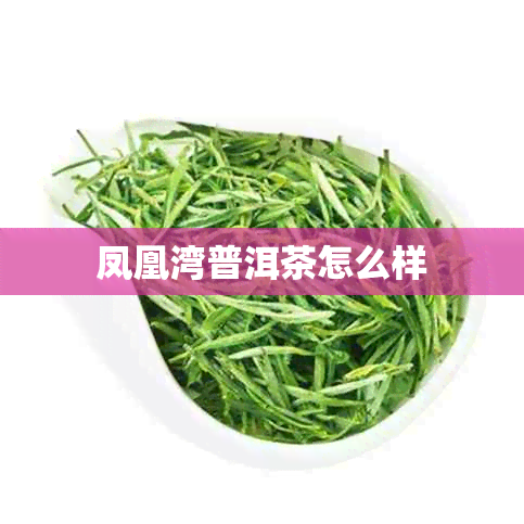 凤凰湾普洱茶怎么样