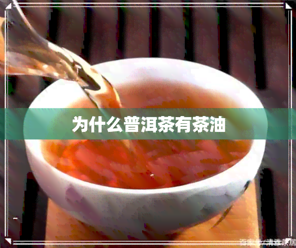 为什么普洱茶有茶油