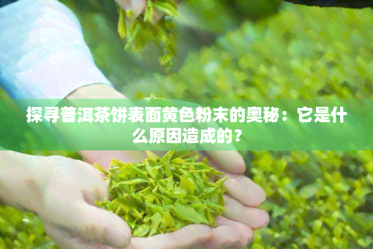 探寻普洱茶饼表面黄色粉末的奥秘：它是什么原因造成的？