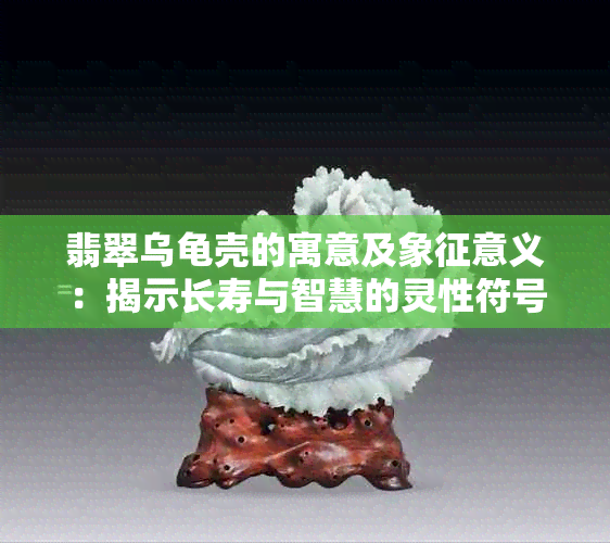 翡翠乌龟壳的寓意及象征意义：揭示长寿与智慧的灵性符号