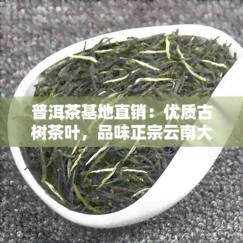 普洱茶基地直销：优质古树茶叶，品味正宗云南大叶种茶的独特魅力