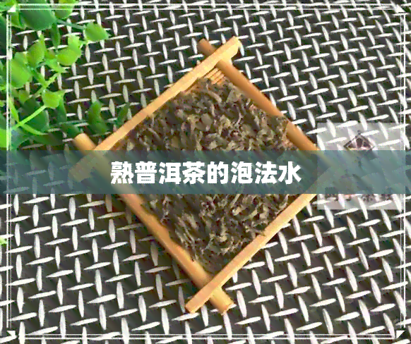 熟普洱茶的泡法水