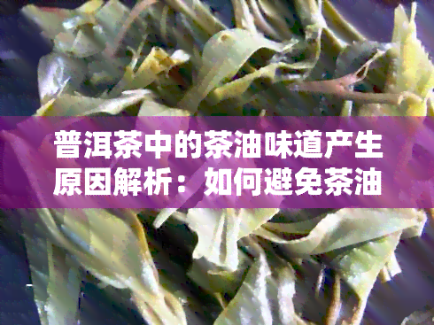 普洱茶中的茶油味道产生原因解析：如何避免茶油味道影响普洱茶体验