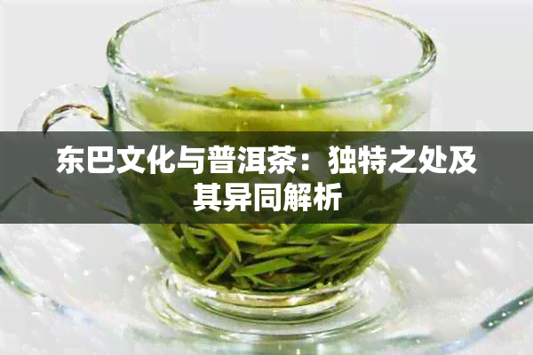 东巴文化与普洱茶：独特之处及其异同解析