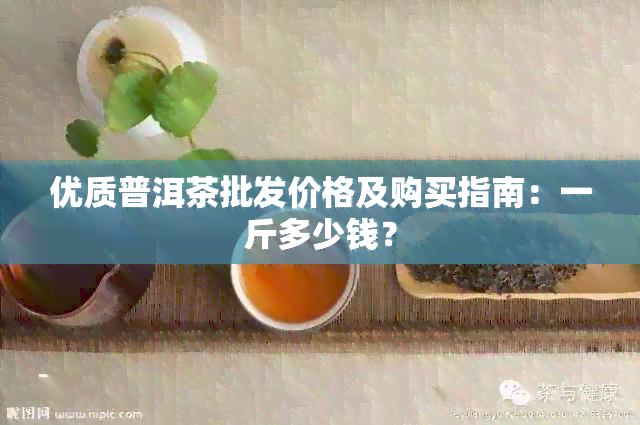 优质普洱茶批发价格及购买指南：一斤多少钱？