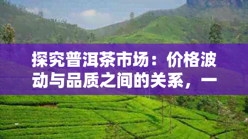 探究普洱茶市场：价格波动与品质之间的关系，一斤4.6万阅读引发的思考